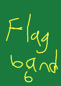 Flag band