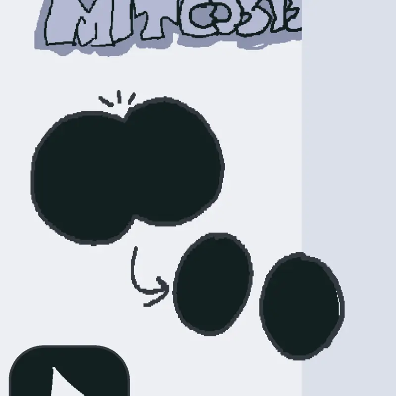 Mitosis by @H3NZ00P_
