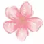 kailey_official avatar