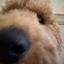 SquweeIsEpic avatar