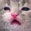 ll--1M_S0_TWIX--ll avatar