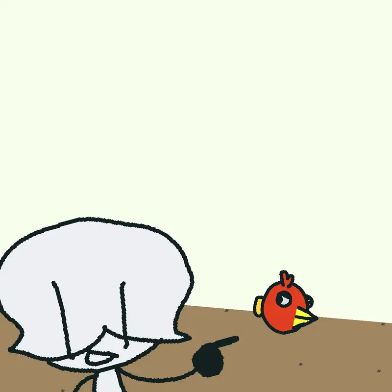 Angry birds in irl animation by @M-nY_jc