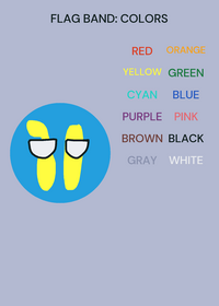 FLAG BAND COLORS