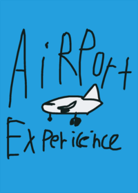 The Airport Experience