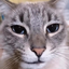 icabt avatar
