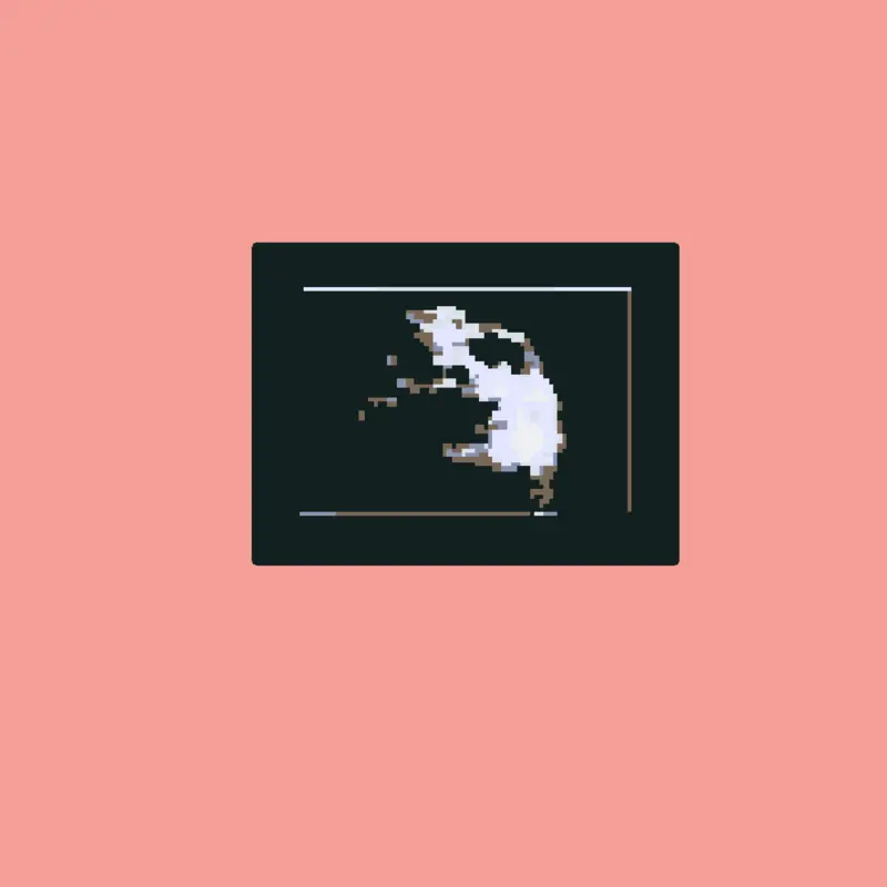 Free by @skidandpump