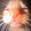 MR_L1ZZ3L avatar