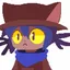 wexploit avatar