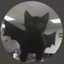 TPingu123 avatar