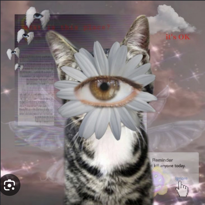 @CATS_F0R_LIFE