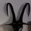 busheater avatar