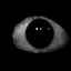 Im_real_Jeff avatar