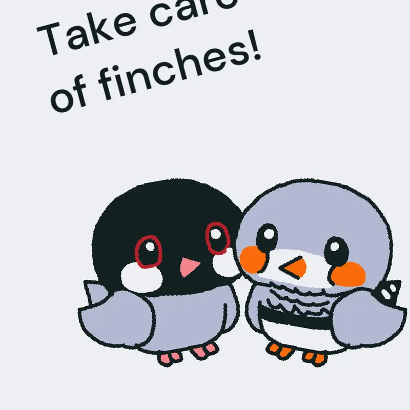 Finches by @joel123canela2026
