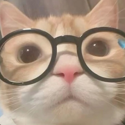 @_Tokie_