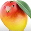 mangofan_67 avatar