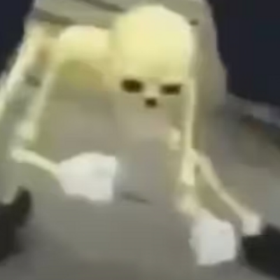 @max_prof44327