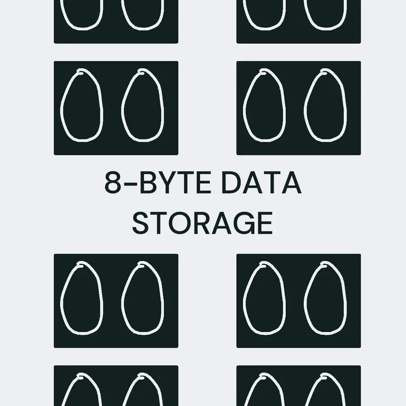 8-Byte data storage by @Crzyfx