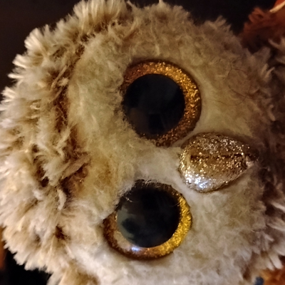 @owl_master