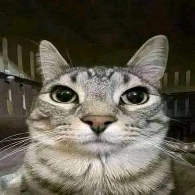 @kevin12331