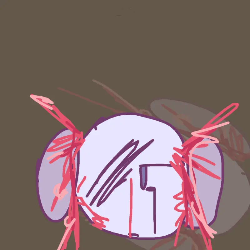Game by @c00lk1dds_alt