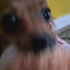 Clany avatar
