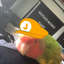 Juancho_mango avatar