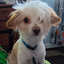 jackEEEEE avatar
