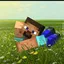 bau180 avatar