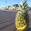 Pinepple avatar