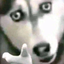 5ABITO avatar