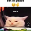 ilovecatsssssssssss avatar
