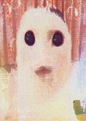 snapshot