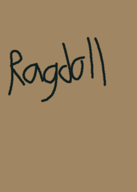 Ragdoll Sandbox