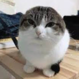 @Normal_potato