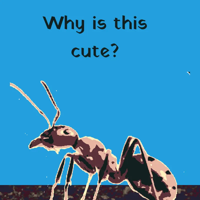 ??? by @xnox_1