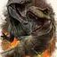 dinosaurioRAWR avatar