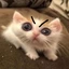 sultantata avatar