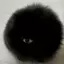 auserunkown6910 avatar