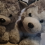 Huskies avatar