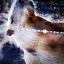 capybaralife avatar