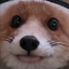 venoose avatar