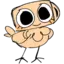 chikin_shellay avatar