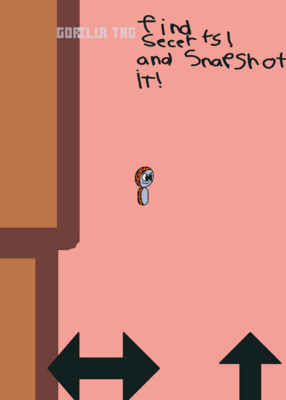 snapshot