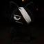 casienplushtoy avatar