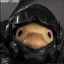 Military_Duck avatar