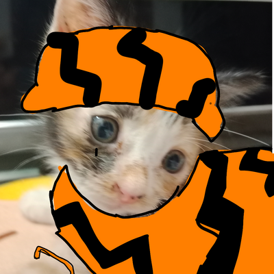 @tiger_the_cat