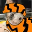 tiger_the_cat avatar